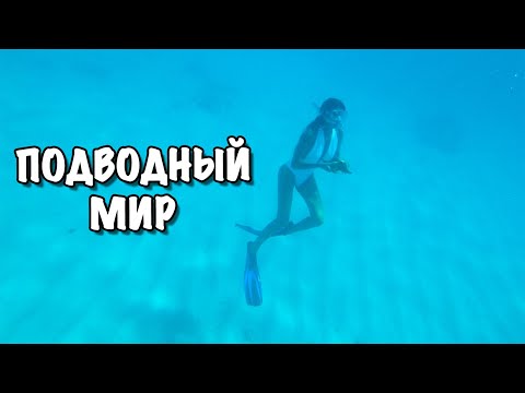 Видео: Доминикана Влог | Закопал клад | Подводный мир необитаемый безлюдный райский остров КАТАЛИНА Часть 2