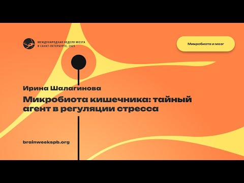 Видео: Лекционный модуль «Микробиота и мозг»/«Микробиота кишечника: тайный агент в регуляции стресса»