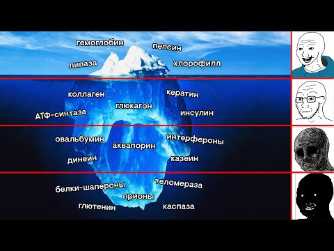 Видео: Айсберг по белкам | Биология с Мишей Гис | ЕГЭ 2026 | СМИТАП