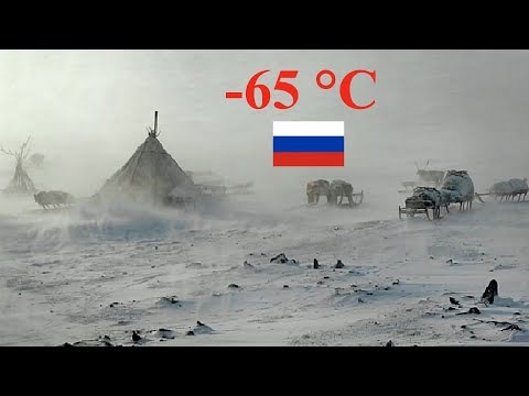 Видео: Трудная, но счастливая жизнь кочевников -оленеводов в ТУНДРЕ на СЕВЕРЕ. Их дома уникальны!