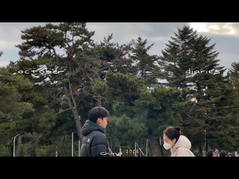 Видео: об одном дне октября, в который я решила поучиться в китайской библиотеке 