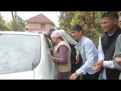 Видео: бата той