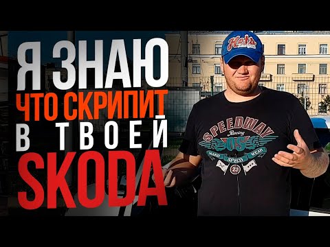 Видео: Я ЗНАЮ ЧТО СКРИПИТ В ТВОЕЙ SKODA. сверчки в салоне шкоды рапид.