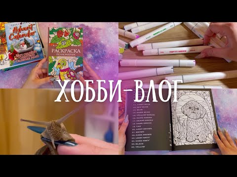 Видео: Хобби-влог [5]: покупки раскрасок и арт-материалов, УЛИТКИ ахатины🐌, посылка от Сергея