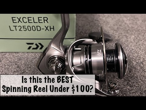 Видео: Является ли Daiwa Exceler LT ЛУЧШЕЙ спиннинговой катушкой до 100 долларов?