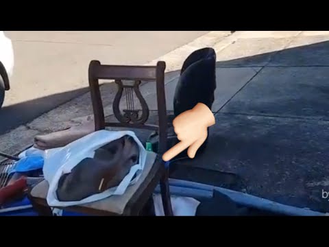 Видео: Вот эта да! На антикварном стуле стоял пакет .А там ...Это надо видеть.Свалка лучше чем барахолка