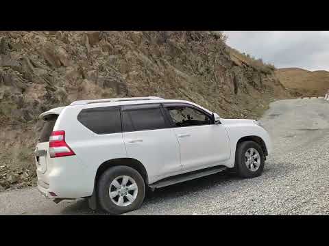 Видео: Сарканд Аманбоктер 2021 г