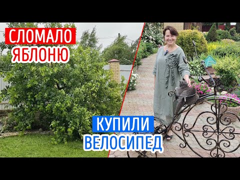 Видео: Опять ураган! Сломало последнюю ЯБЛОНЮ! Садовый ВЕЛОСИПЕД. Живём дальше!