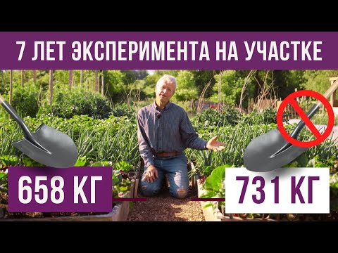 Видео: Копать или не копать грядки? Результат 7-летнего эксперимента на участке