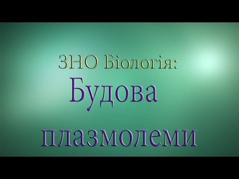 Видео: ЗНО Біологія  Будова плазмолеми