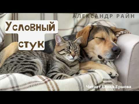 Видео: АУДИОРАССКАЗ I Александр Райн I Условный стук