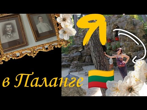Видео: VLOG! Поехала в Палангу, исполнила мечту спустя 4-5 лет и попробовала новый для себя напиток ! 
