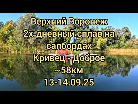 Видео: Сплав на сапбордах по верхнему Воронежу. Кривец - Доброе. 58 км. 13-14.09.25