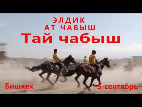 Видео: Тай чабыш