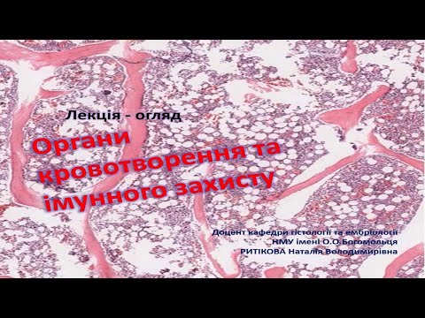 Видео: Лекція- огляд: Органи кровотворення та імунного захисту.