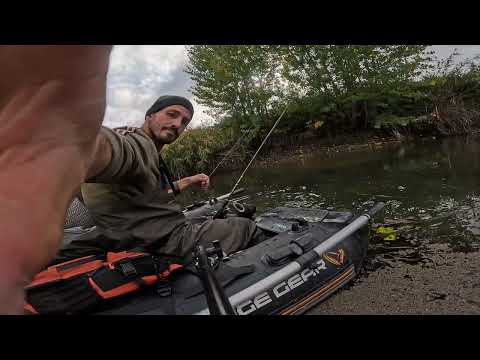 Видео:  Царството на кленовете и щуките