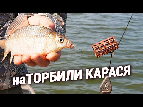 Видео: Ловля Карася на ТОРБУ