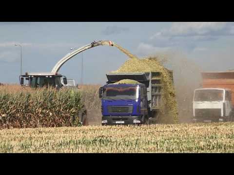 Видео: Жатва Кукурузы на Силос: CLAAS Jaguar 870. 2024!