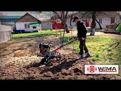 Видео: Фрезеровка дизельным мотоблоком WEIMA WM1100A_6• 02•04•2020•Video_4K•