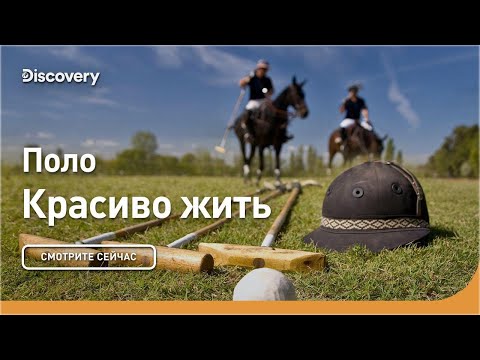 Видео: Поло | Красиво жить | Discovery
