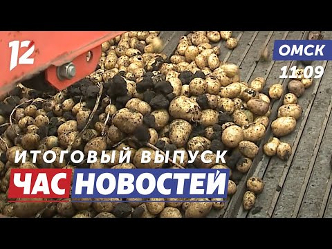 Видео: Уборка картофеля / Снежные полигоны / Водители трамваев. Новости Омска