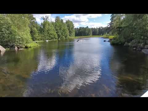 Видео: Катабайд Братан 600 с мотором лонгтейл