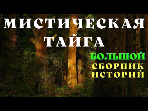 Видео: Мистическая тайга/ Мистические страшные истории/ Истории таёжных охотников/ Охотничьи байки