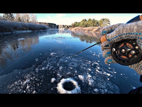 Видео: Ловля на балансир. Щука Окунь. Рыбалка в красивом месте .