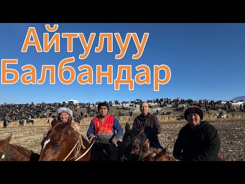 Видео: Кок талаа айылы аламан улак