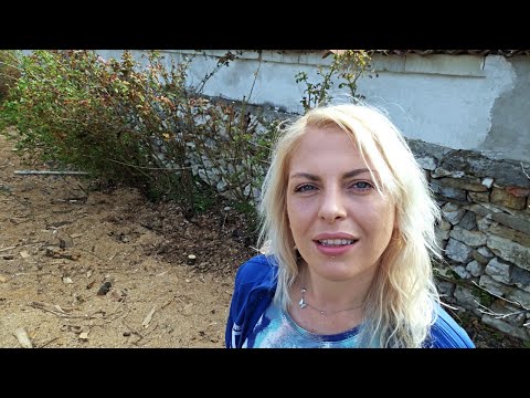 Видео: РАЗЧИСТВАНЕ на РОЗИ пред ограда