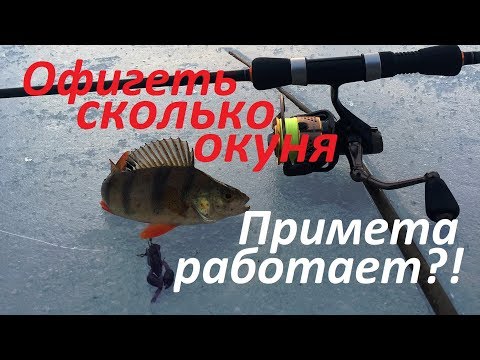 Видео: Рыбалка на МР. Зимний спиннинг или раздача весеннего окуня !