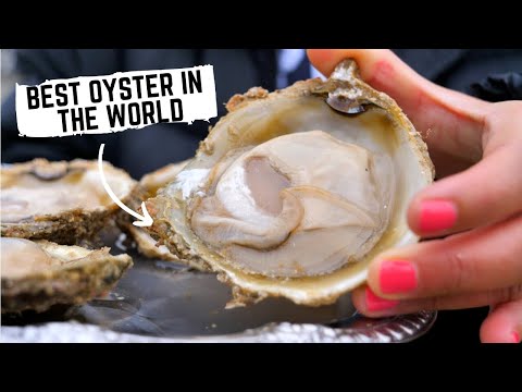 Видео: Путешествие устрицы Блафф со дна океана на тарелку | Гастрономический тур по Новой Зеландии