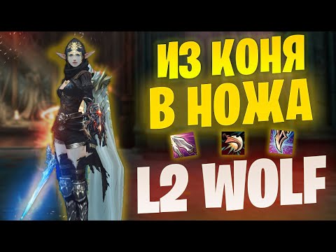 Видео: Ножи снова могут? Реролл в Lineage 2 Project Wolf в ПВ