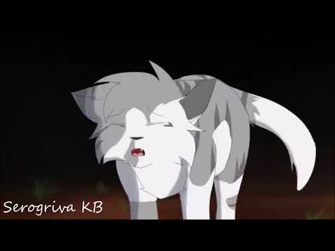 Видео: Коты воители - Мама я умираю, не расказывай отцу.....