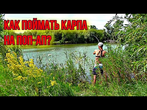 Видео: КАК поймать КАРПА на ФЛЭТ? Рыбалка на карпа на флэт фидер