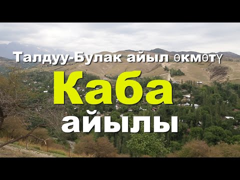 Видео: Депутат Каба айылында чоң иштерди бүтүрдү