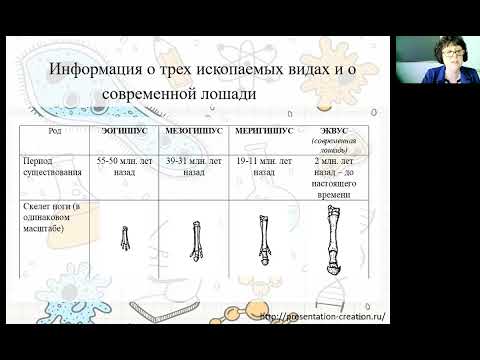 Видео: Открытые задания Pisa на уроках биологии.Енке И.А