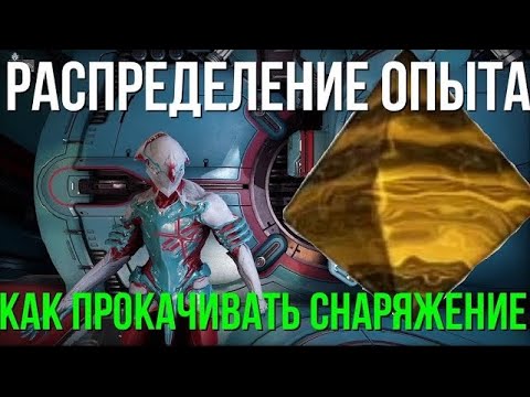 Видео: Гайд по прокачке снаряжения. Синтез и как он распределяется.