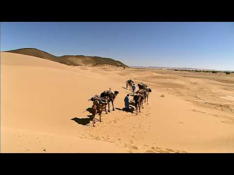 Видео: Секрет шафрана раскрыт в марокканской пустыне