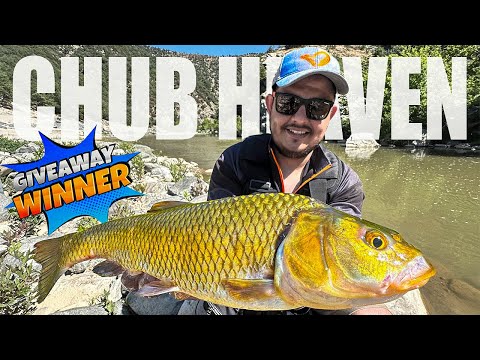 Видео: #TBT / КЕФАЛСКИ РАЙ! Мечтан риболов на кефали за пръв път след 4 години + теглене на GIVEAWAY!