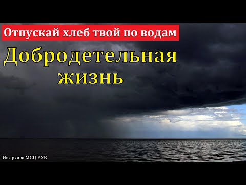 Видео: "Добродетельная жизнь". А. Горбунов. МСЦ ЕХБ