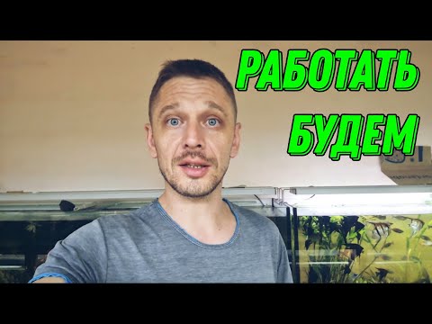 Видео: Когда начнем работать на разводне ?