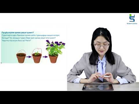 Видео: жаратылыстану уақыт анықтау не үшін қаже? 1 сынып 22 сабақ