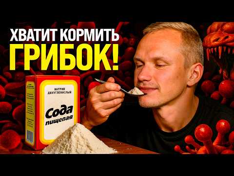 Видео: КАНДИДОЗ — 9 из 10 людей НЕ знают, почему МОЛОЧНИЦА и ГРИБКИ не уходят