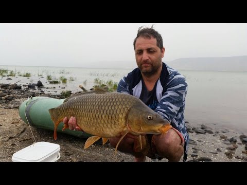 Видео: Рыбалка в Израиле  Кинерет 11 13 4 2017
