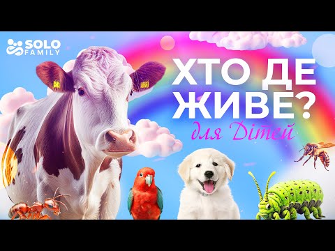 Видео: Де живуть тварини? | Де живуть свійські та дикі тварини | Де живуть тварини відео для дітей | Дітям