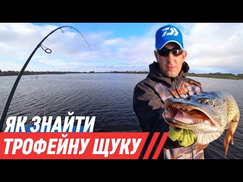 Видео: Осіння Ловля Великої Щуки ⚡ Відразу Потрапив На Роздачу !