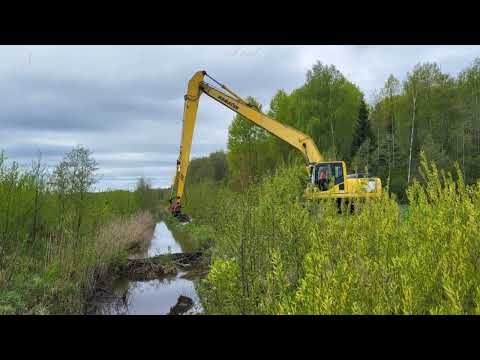 Видео: Снос плотины бобра