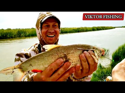 Видео: ЯЗЬ НА ДОНКУ / Рыбалка в НЕПОГОДУ.