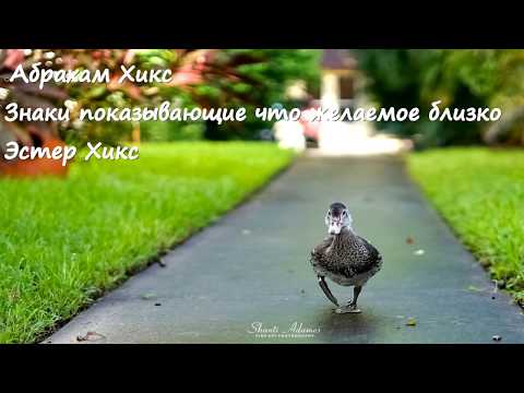 Видео: Абрахам Хикс – Знаки показывающие что желаемое близко – Эстер Хикс